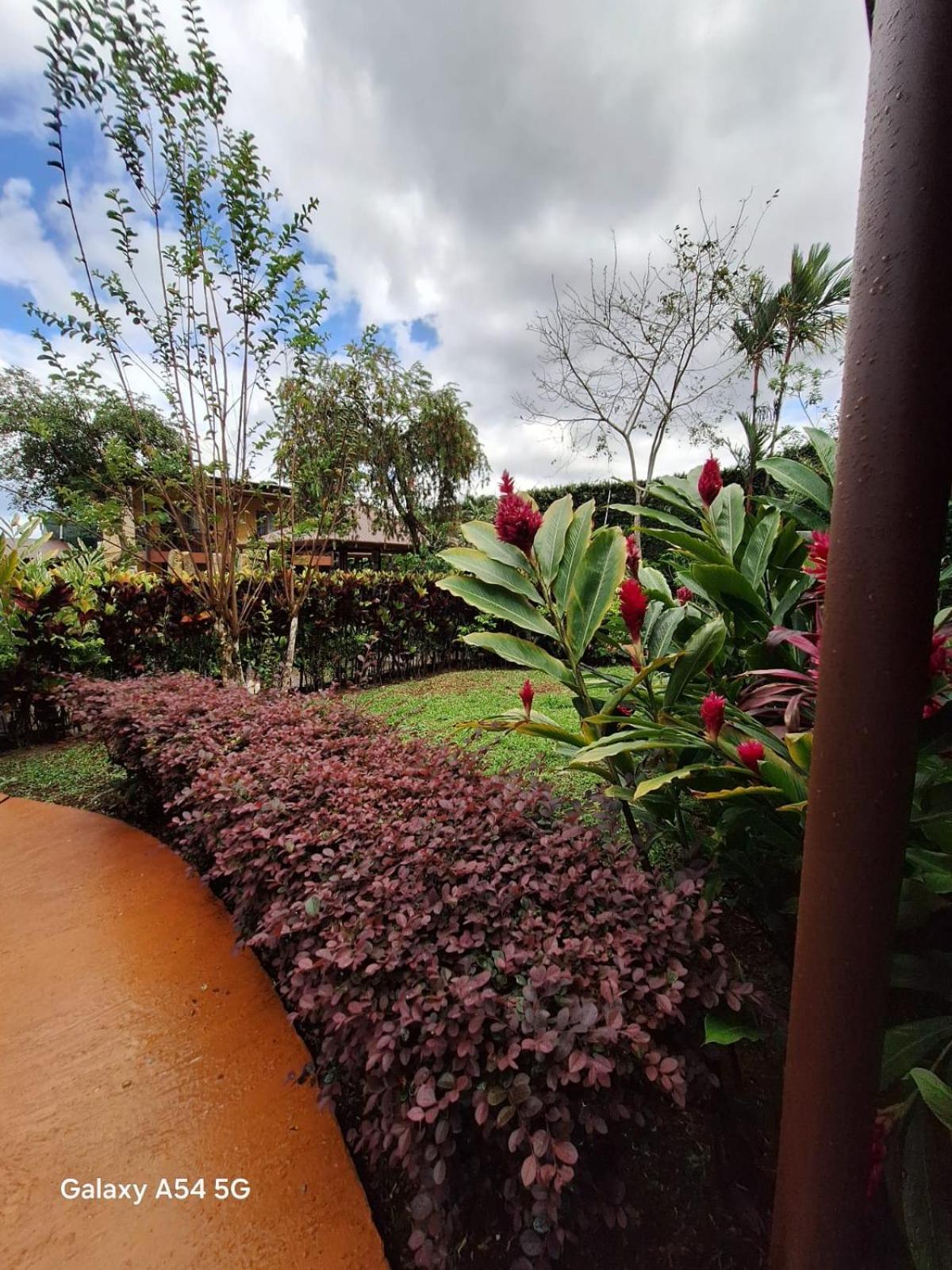 Iris Arenal Hotel La Fortuna Esterno foto